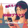 30GBプラン