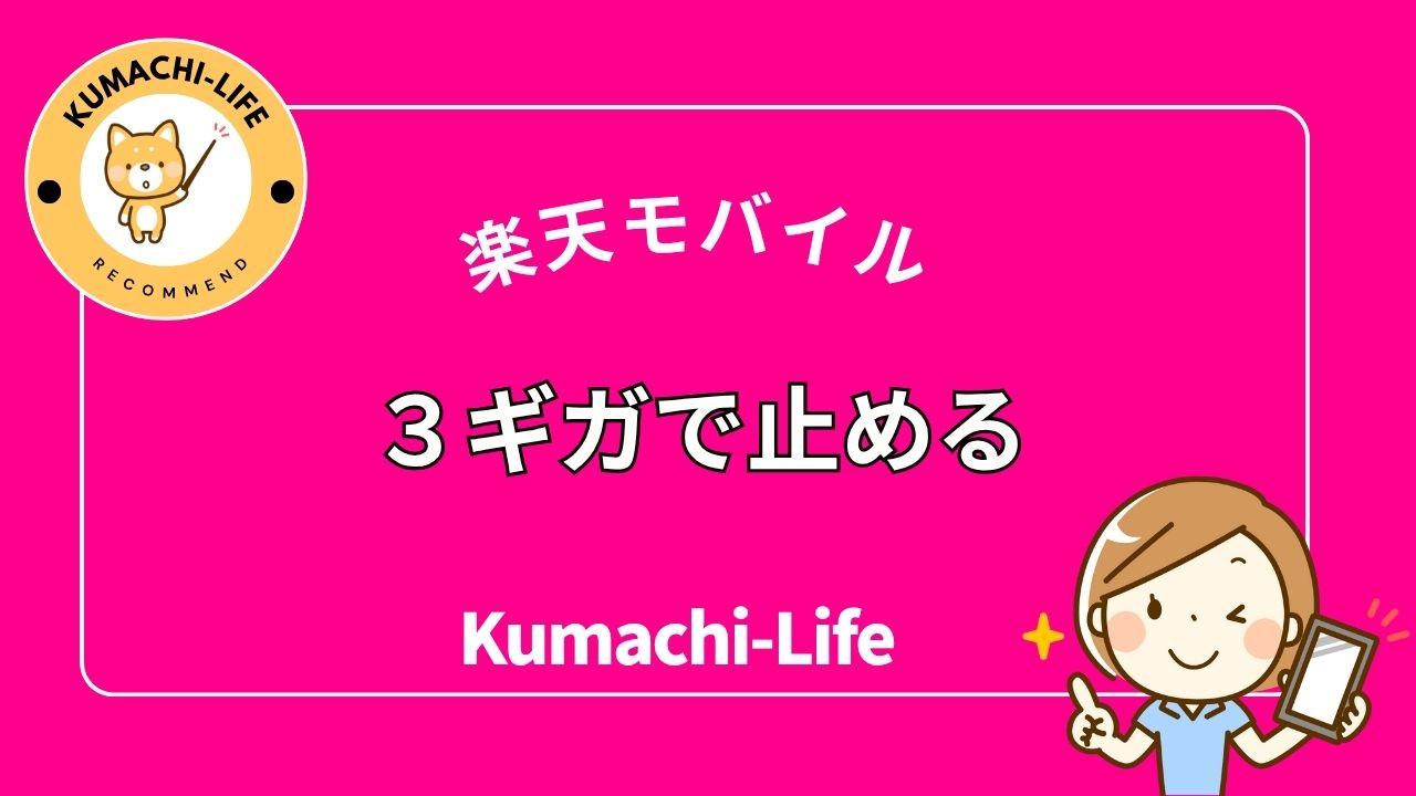 3ギガバイトで止める