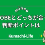 BIGLOBEどっちが合う