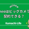 ビッグカメラで契約できる