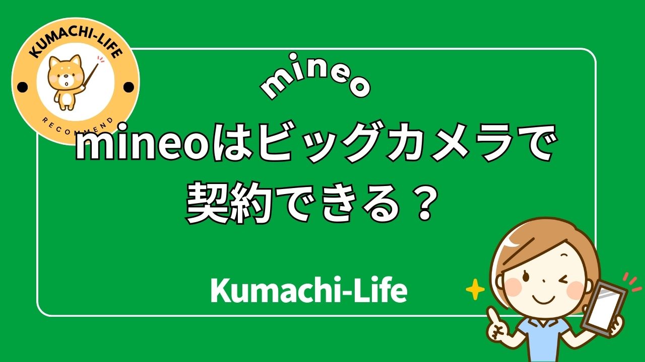 ビッグカメラで契約できる