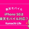 iPhone seは使える？